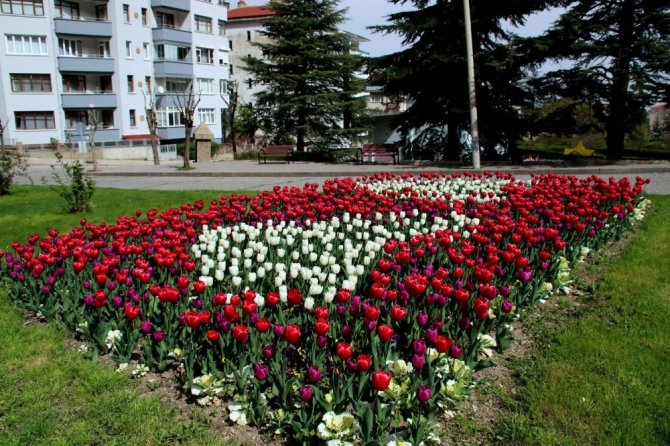 Akşehir açan çiçeklerle renklendi