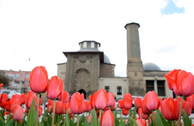 Konya’da “Lale Mevsimi” başladı