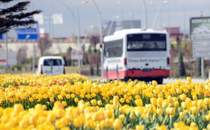 Konya’da “Lale Mevsimi” başladı