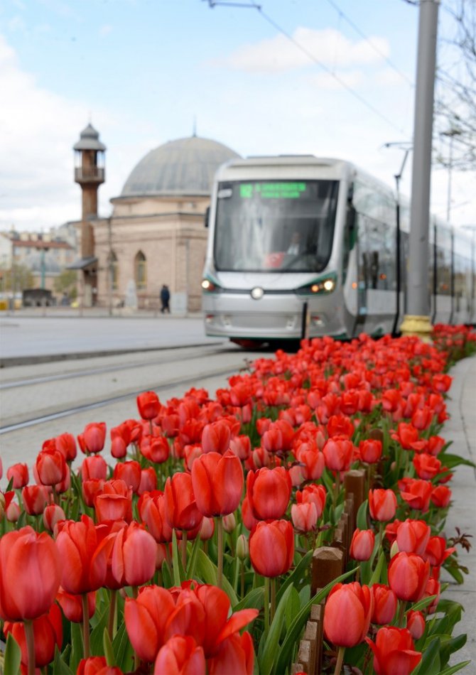 Konya’da “Lale Mevsimi” başladı