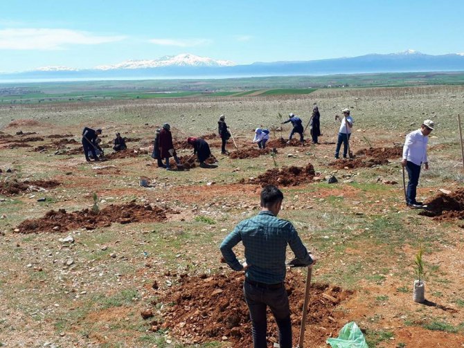 Hüyük’te şehitler anısına hatıra ormanı