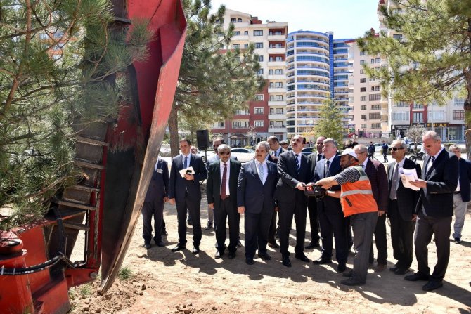 Köprülü kavşak çalışmalarından nakledilen ağaçlar bu parkta yeşeriyor