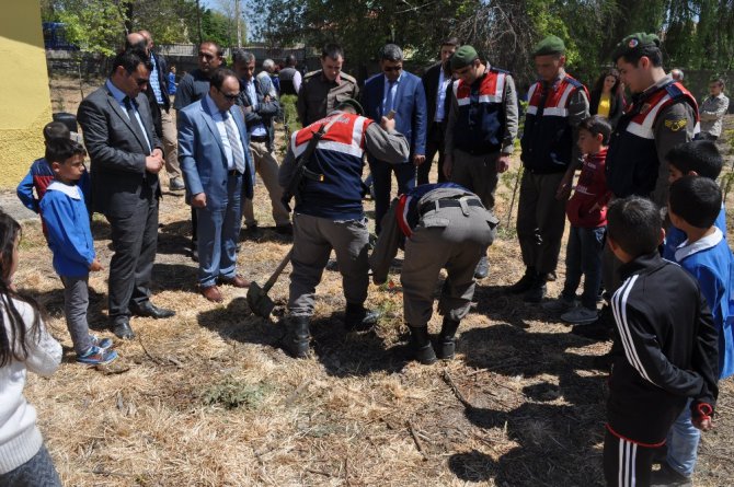 Kulu’da Afrin şehitleri anısına fidan dikildi