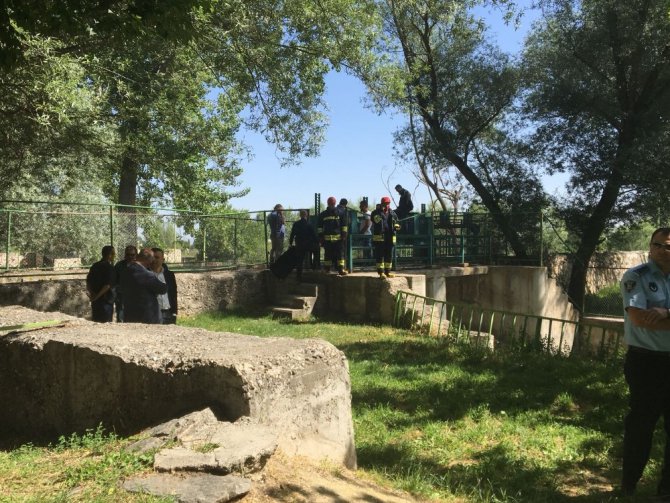 Sulama kanalında bir kolu kesilmiş kadın cesedi bulundu