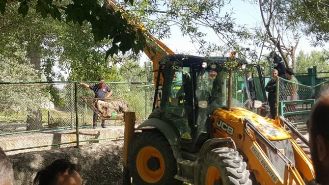 Sulama kanalında bir kolu kesilmiş kadın cesedi bulundu