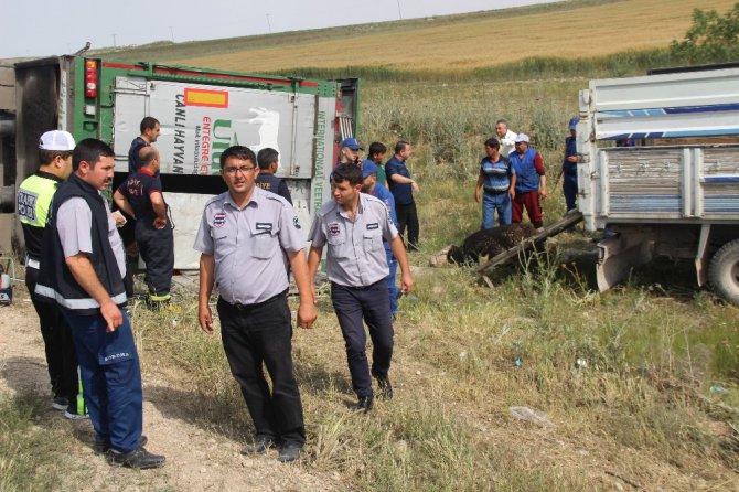 Tır devrildi sürücünün 10 yaşındaki oğlu hayatını kaybetti