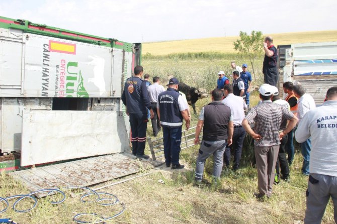 Tır devrildi sürücünün 10 yaşındaki oğlu hayatını kaybetti