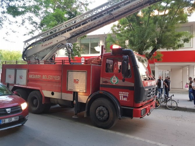 Ağaçtan düşen karga yavrusu için seferber oldular