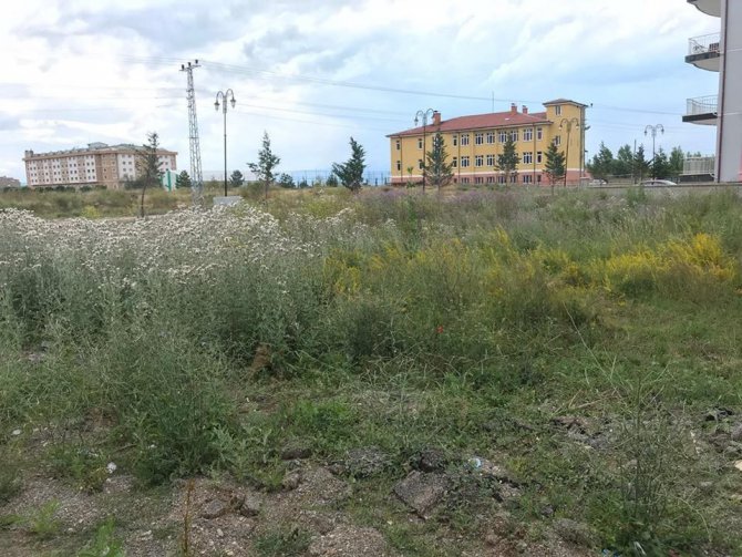 Beyşehir Belediyesinden boş arazilerde yangın önlemi