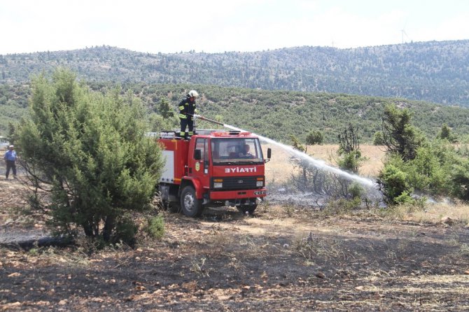 Konya’da orman yangını