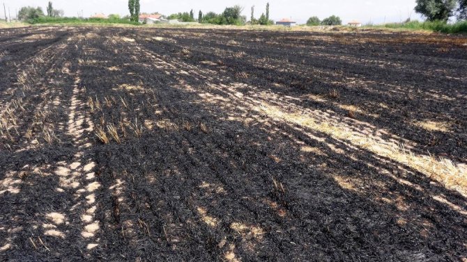 Çiftçilere ’Anız yakma, geleceğini yakarsın’ uyarısı