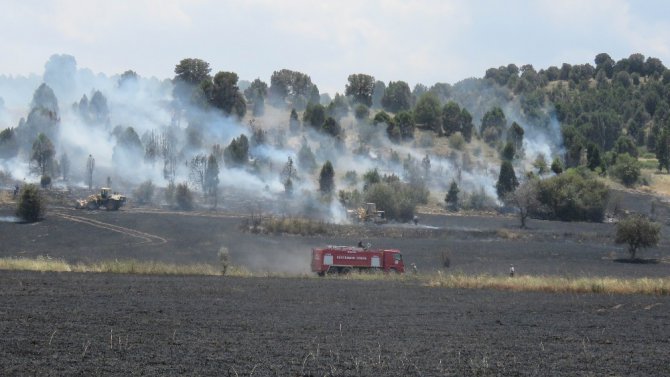 Konya’da ormanlık alana sıçrayan yangın