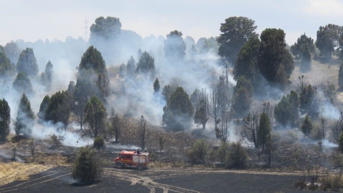 Konya’da ormanlık alana sıçrayan yangın