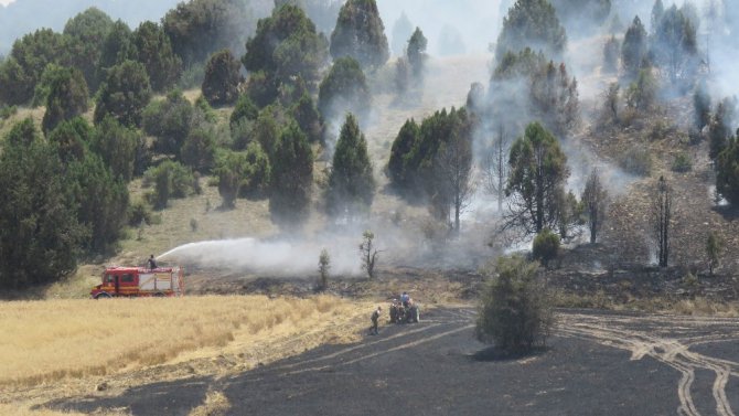 Konya’da ormanlık alana sıçrayan yangın