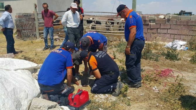 7 metrelik kuyuya düşen yavru köpek AFAD tarafından kurtarıldı