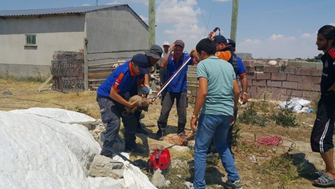 7 metrelik kuyuya düşen yavru köpek AFAD tarafından kurtarıldı