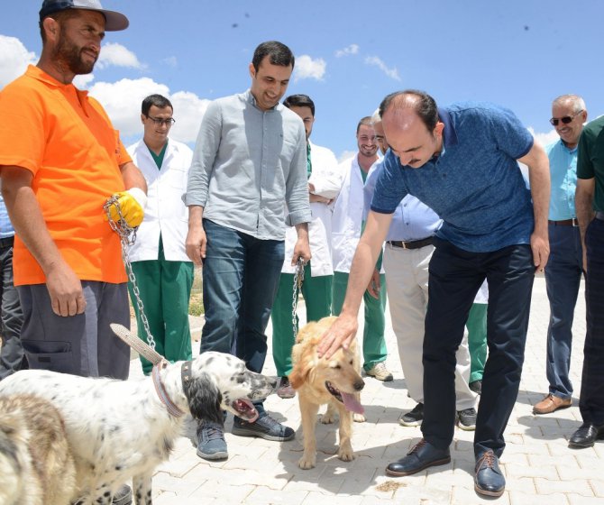 Konya’da sokak hayvanları için “Bir Kap Yemek Bir Kap Su” kampanyası