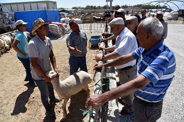 selçuklu’da kurban satış yeri ve kesim yerleri hazır