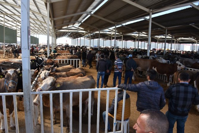 Aksaray’da hayvan park yeri ve canlı hayvan borsası arife gününe kadar açık