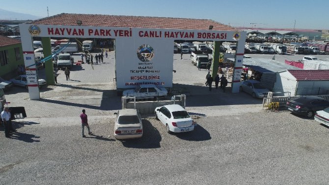 Aksaray’da hayvan park yeri ve canlı hayvan borsası arife gününe kadar açık