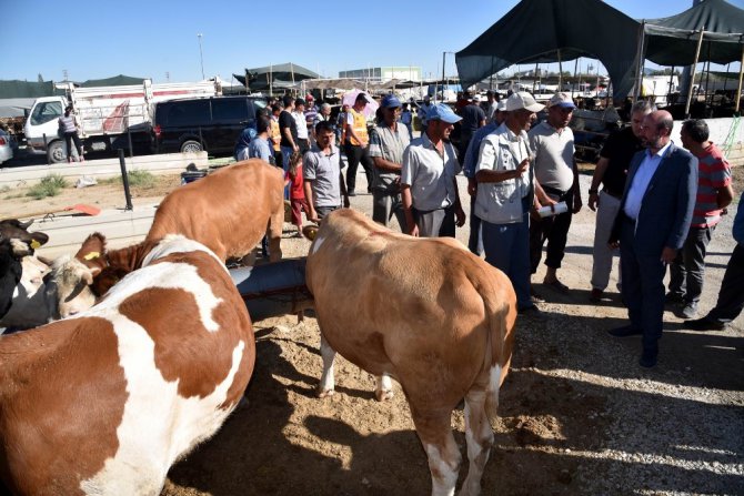 Başkan Pekyatırmacı, kurban pazarında incelemelerde bulundu