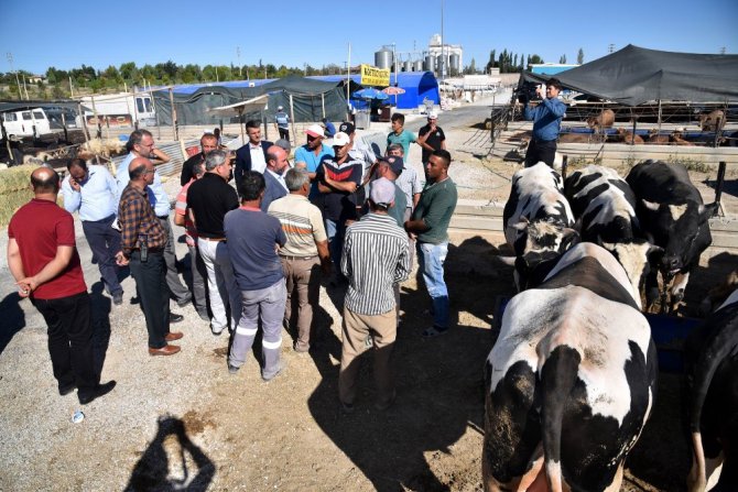 Başkan Pekyatırmacı, kurban pazarında incelemelerde bulundu