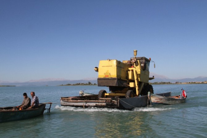 Adadaki hasat sonrası biçerdöverin göldeki yolculuğu