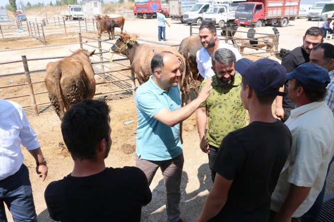 Başkan Özaltun, hayvan pazarını ziyaret etti