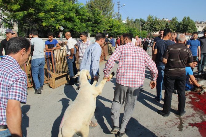 Konya’da Kurban Bayramı manzaraları