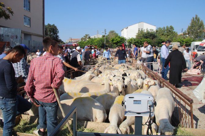 Konya’da Kurban Bayramı manzaraları