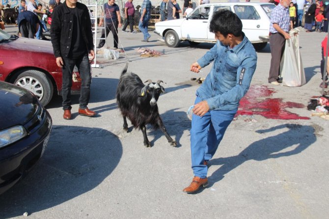 Konya’da Kurban Bayramı manzaraları