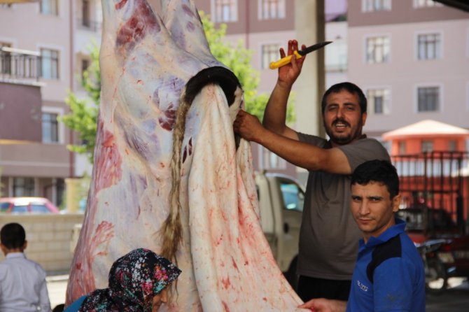 Konya’da Kurban Bayramı manzaraları