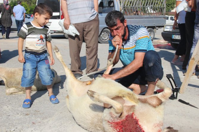 Konya’da Kurban Bayramı manzaraları