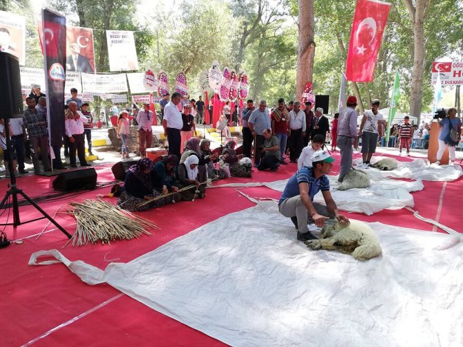 Ereğli’de Bekdik Şenliği