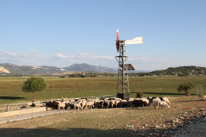 Hayvanların su ihtiyacı güneş ve rüzgar enerjisinden