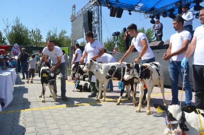 Ereğli’de, 3. Tarım ve Hayvancılık Fuarı açıldı