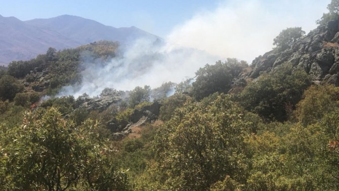 Aksaray’da orman yangını