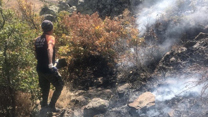 Aksaray’da orman yangını