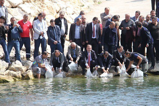 Beyşehir Gölü’ne 500 bin yavru sazan takviyesi