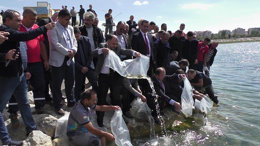 Beyşehir Gölü’ne 500 bin yavru sazan takviyesi