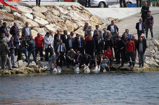 Beyşehir Gölü’ne 500 bin yavru sazan takviyesi