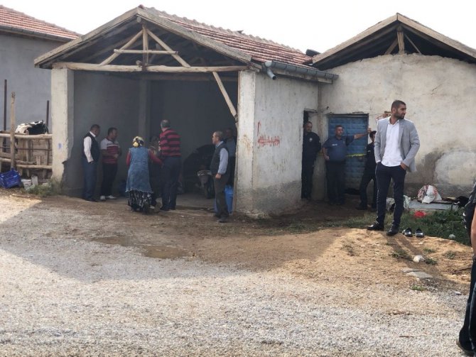 Süt sağma makinesinde elektrik akımına kapılan kadın öldü