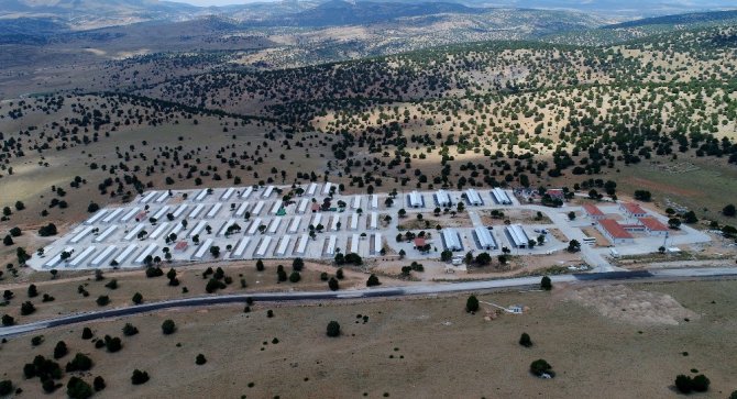 Konya’da hayvanlar için örnek projeler