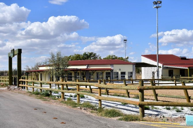 Aksaray’a at binicilik tesisi yapıldı