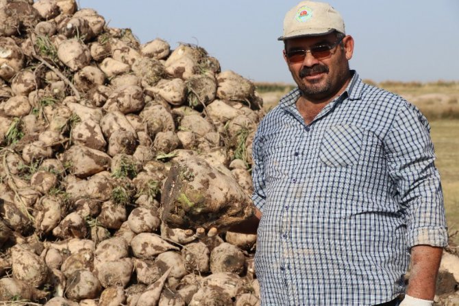 Pancarın bileti kesildi, şekere yolculuk başladı