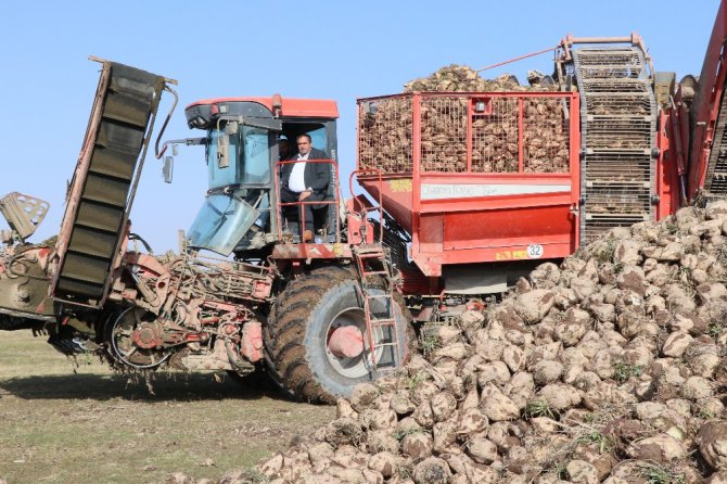 Pancarın bileti kesildi, şekere yolculuk başladı