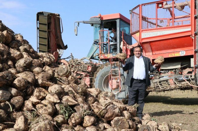 Pancarın bileti kesildi, şekere yolculuk başladı