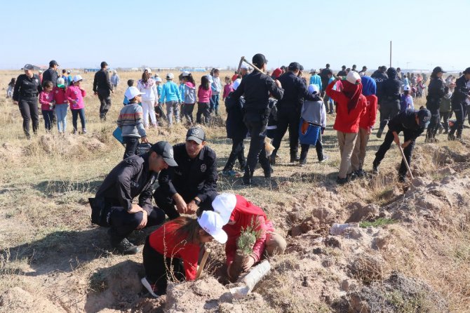 Aksaray’da 5 bin 500 fidan toprakla buluşturuldu