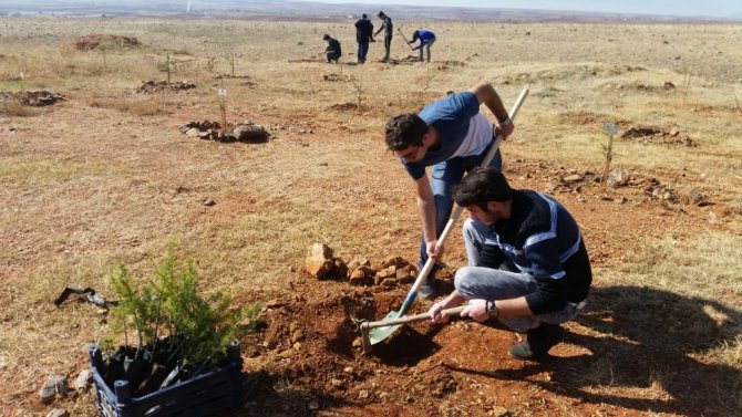 Üniversite öğrencileri, 15 Temmuz ve Afrin şehitleri için fidan dikti