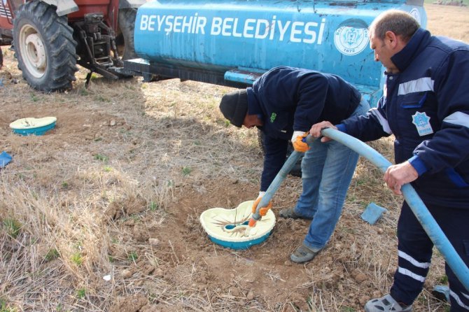 Beyşehir Belediyesi, ceviz ve fındık bahçesi oluşturuyor